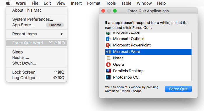 The Application Microsoft Word Quit Unexpectedly Mac